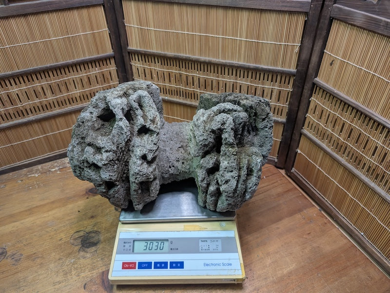 Rare 1970s Japanese Karui Ishi Stone 3kg Rock Bonsai Garden Decor Auction JP