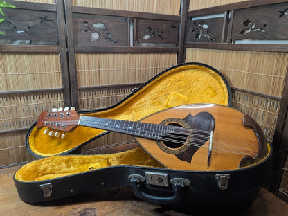 Vintage Suzuki M-215 Mandolin 1970s Japan with Original Hard Case Rare