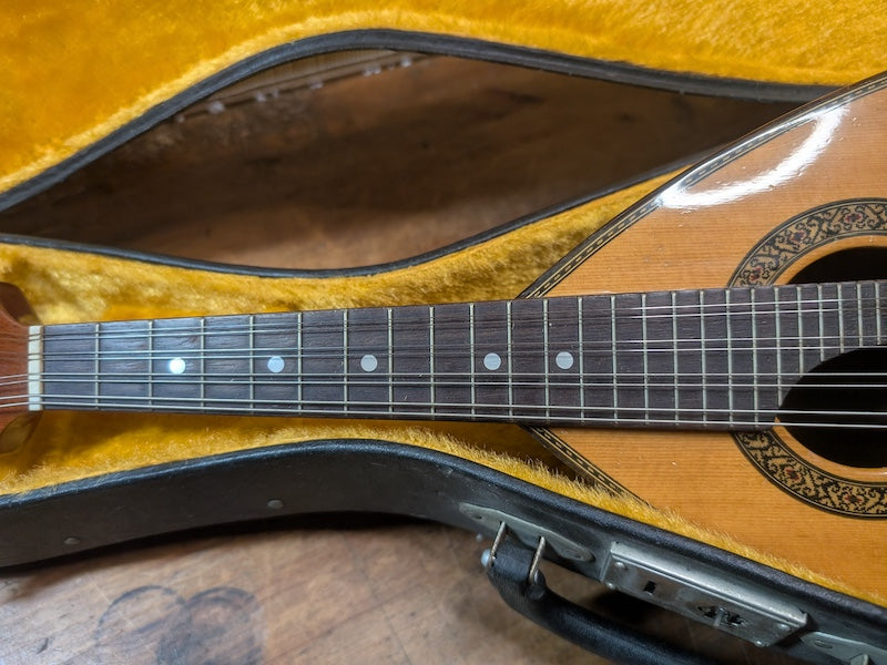 Vintage Suzuki M-215 Mandolin 1970s Japan with Original Hard Case Rare