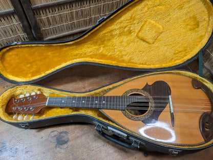 Vintage Suzuki M-215 Mandolin 1970s Japan with Original Hard Case Rare