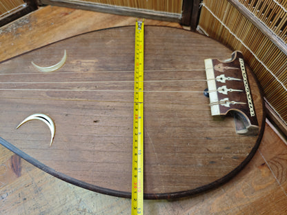 1800s Antique Japanese Biwa Lute Edo Era Wood Instrument Rare Authentic