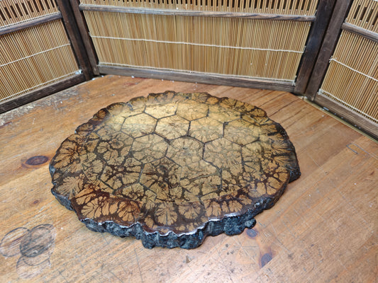 Authentic 1970s Japanese Kikuka Moku Bonsai Kadai Chrysanthemum Burl
