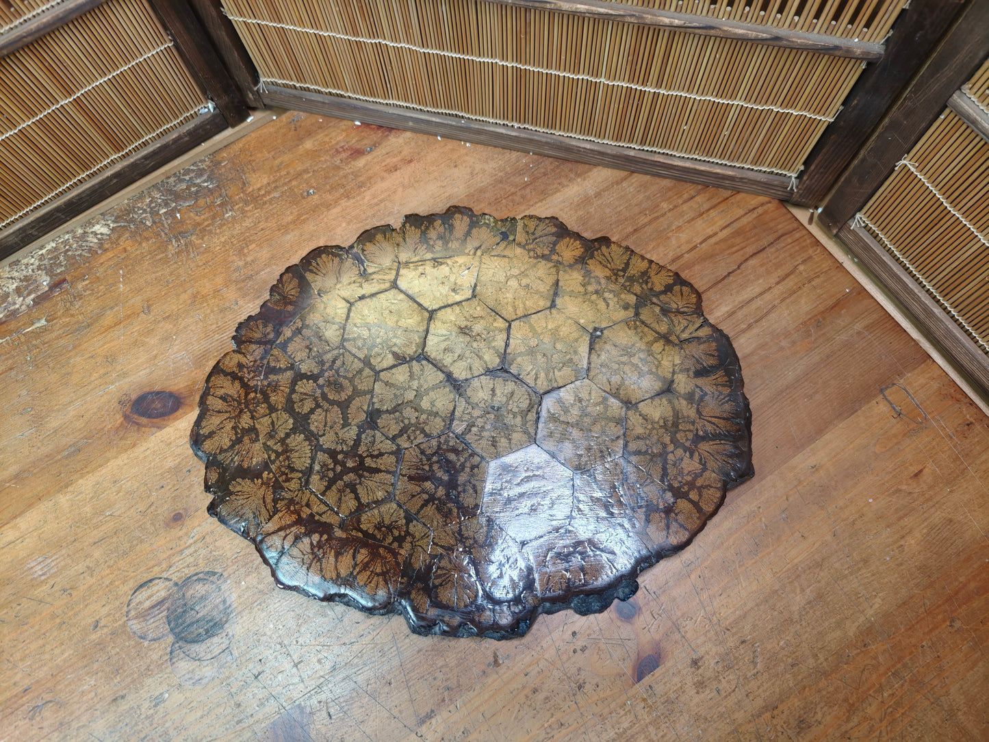 Authentic 1970s Japanese Kikuka Moku Bonsai Kadai Chrysanthemum Burl