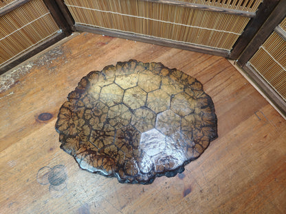 Authentic 1970s Japanese Kikuka Moku Bonsai Kadai Chrysanthemum Burl