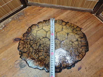 Authentic 1970s Japanese Kikuka Moku Bonsai Kadai Chrysanthemum Burl