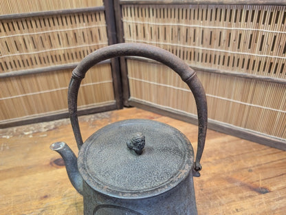Japanese Tetsubin Nambu Tekki Cast Iron Kettle Map of Japan Design