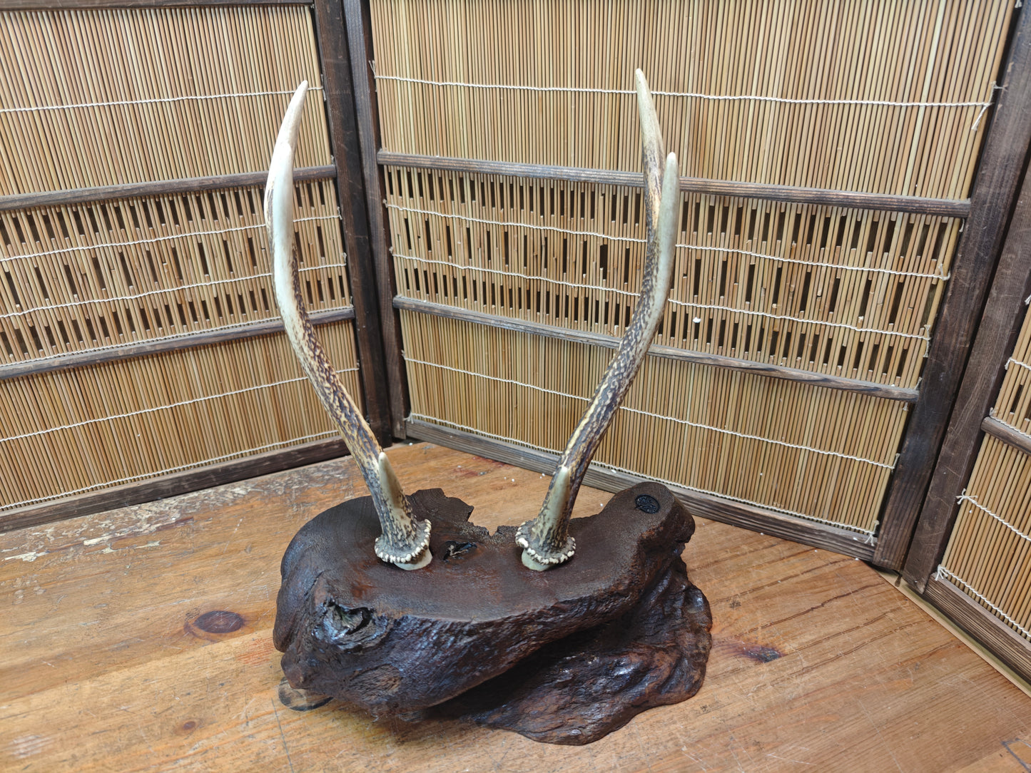 1950s Japanese Deer Antler Katana Stand Signed Samurai Sword Display Rare