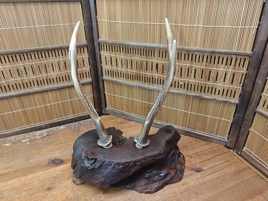 1950s Japanese Deer Antler Katana Stand Signed Samurai Sword Display Rare