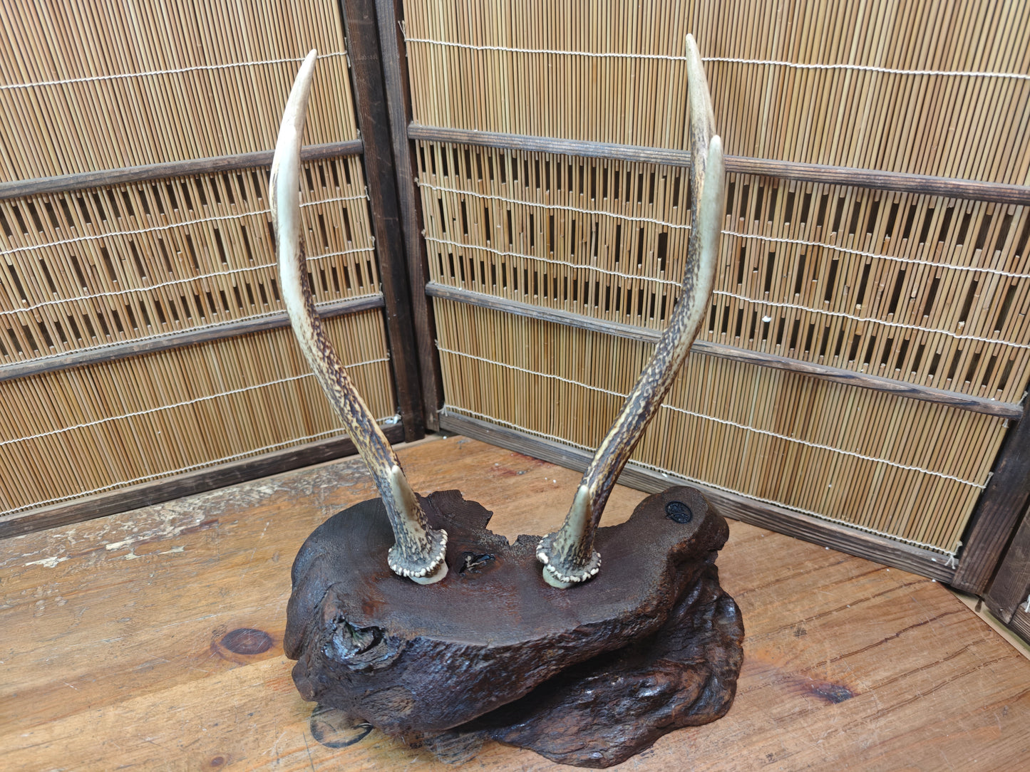 1950s Japanese Deer Antler Katana Stand Signed Samurai Sword Display Rare