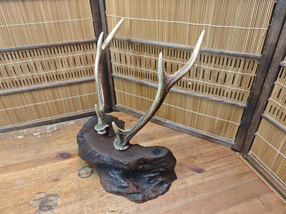 1950s Japanese Deer Antler Katana Stand Signed Samurai Sword Display Rare