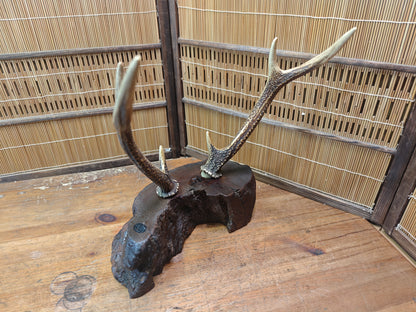 1950s Japanese Deer Antler Katana Stand Signed Samurai Sword Display Rare