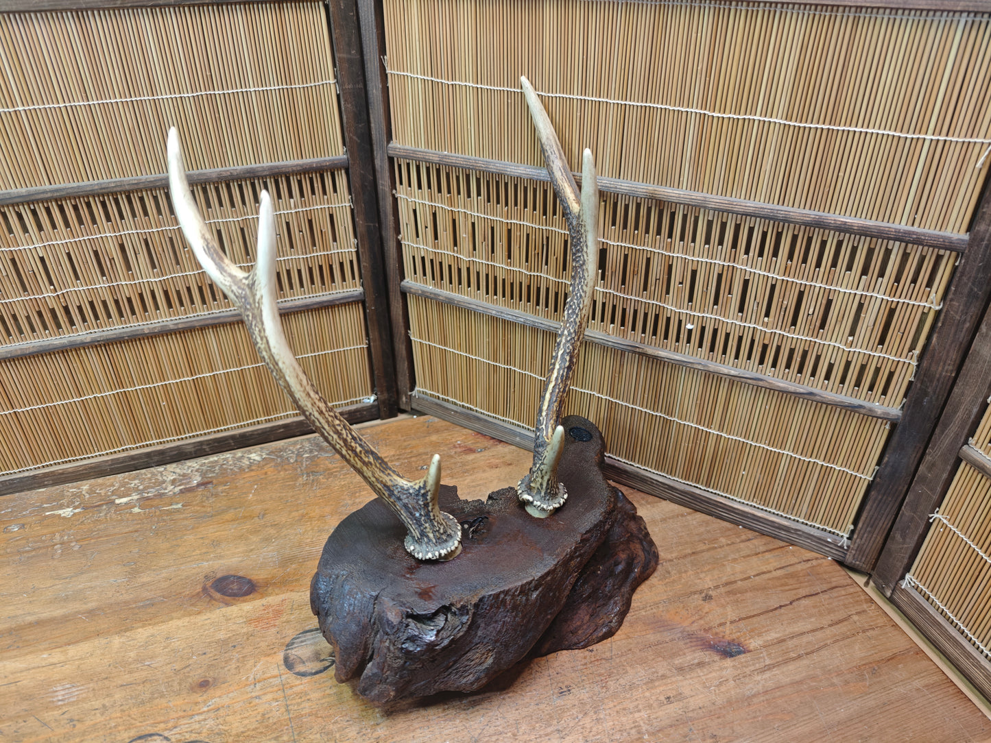 1950s Japanese Deer Antler Katana Stand Signed Samurai Sword Display Rare