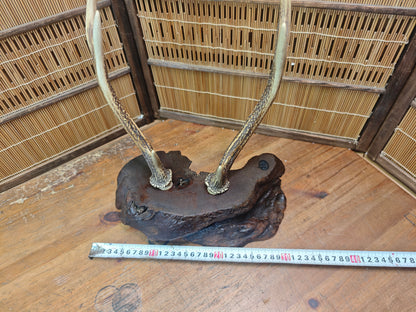 1950s Japanese Deer Antler Katana Stand Signed Samurai Sword Display Rare