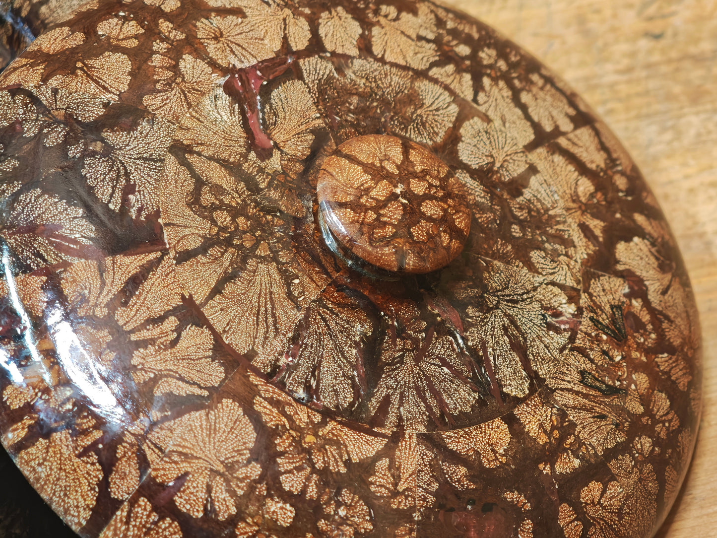 Japanese Vintage 1970s Chrysanthemum Wood Lidded Box Natural Burl