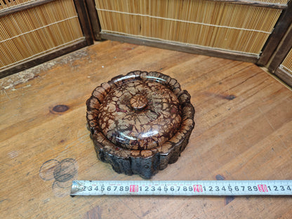 Japanese Vintage 1970s Chrysanthemum Wood Lidded Box Natural Burl