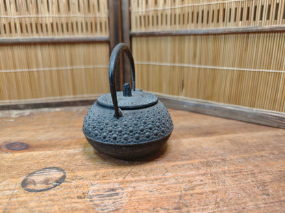 Vintage Japanese Nambu Tekki Kyusu Cast Iron Teapot 1970s Made in Japan