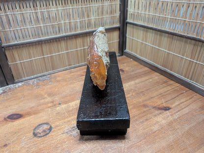 Rare 660g Natural Amber on Antique Wood Stand | Japan Auction