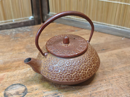 Vintage Nambu Tekki Tetsubin 1970s Japanese Cast Iron Tea Kettle