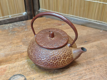 Vintage Nambu Tekki Tetsubin 1970s Japanese Cast Iron Tea Kettle