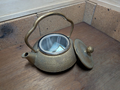 1970s Nambu Cast Iron Teapot Japan Handmade Unused Tetsubin Rare Find