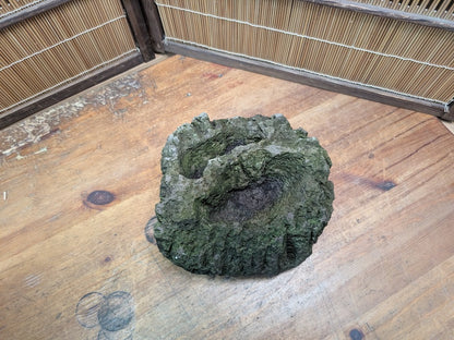 Rare 1970s Japanese Karui Ishi Stone Wabi Sabi Rock Bonsai Garden Decor Auction JP