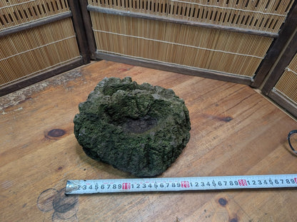 Rare 1970s Japanese Karui Ishi Stone Wabi Sabi Rock Bonsai Garden Decor Auction JP