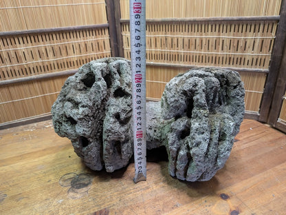 Rare 1970s Japanese Karui Ishi Stone 3kg Rock Bonsai Garden Decor Auction JP