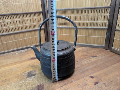 Vintage Japanese Tetsubin Crane & Turtle Iron Kettle Signed Seal