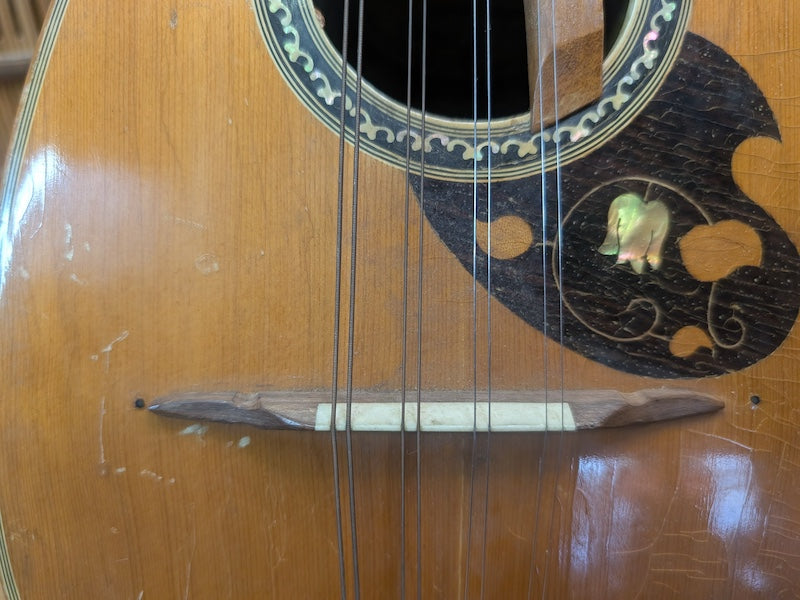 1965 Suzuki Mandolin M-203 Japan Vintage String Instrument Signed Rare
