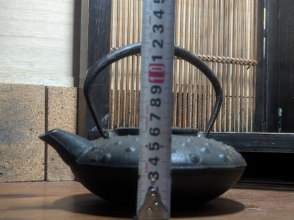Japanese Nambu Cast Iron Teapot Handmade Tetsubin Vintage Unused