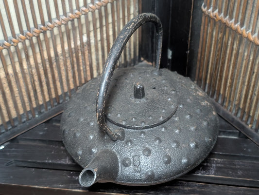 Japanese Nambu Cast Iron Teapot Handmade Tetsubin Vintage Unused