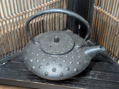 Japanese Nambu Cast Iron Teapot Handmade Tetsubin Vintage Unused